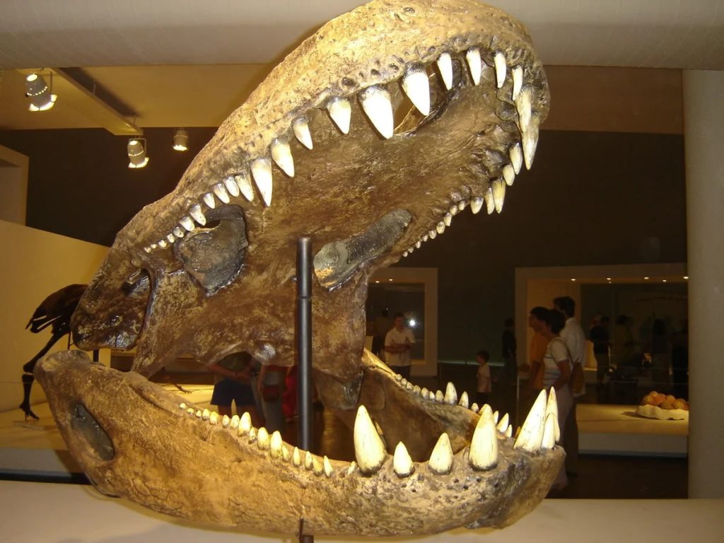 Пурусзавр: Самый крупный наземный хищник в истории планеты
