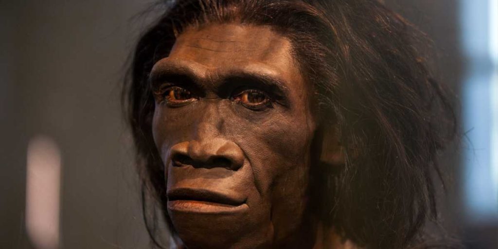 Антропогенез 10-100 тысяч лет назад: Появление современных рас