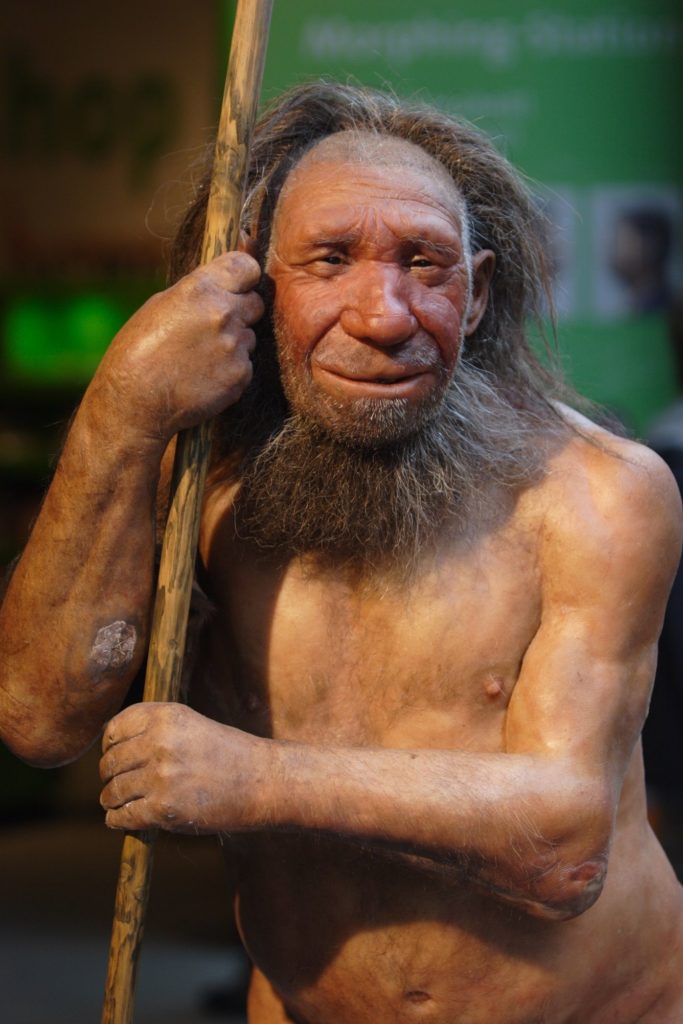 Антропогенез 300-100 тысяч лет назад: Древесные люди Африки