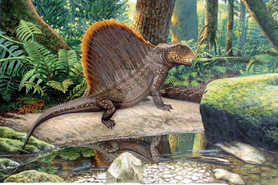 Вымершая древность. Пермский период Диметродон. Диметродон Юрского периода. Диметродон динозавр. Диметродон это рептилия.