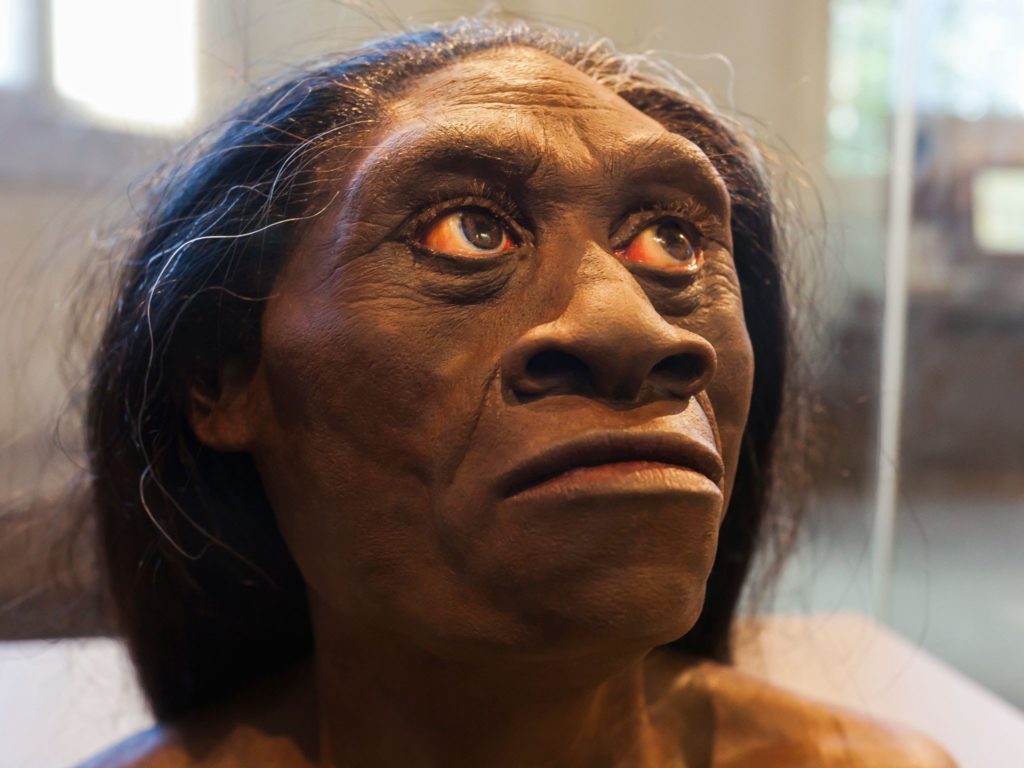 Антропогенез 10-100 тысяч лет назад: Появление современных рас