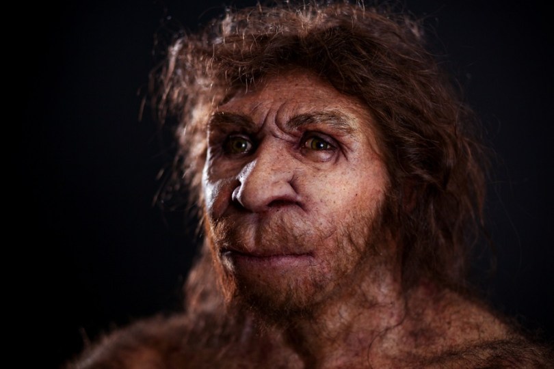 Антропогенез 0.3-1 миллион лет назад: Слишком много предков
