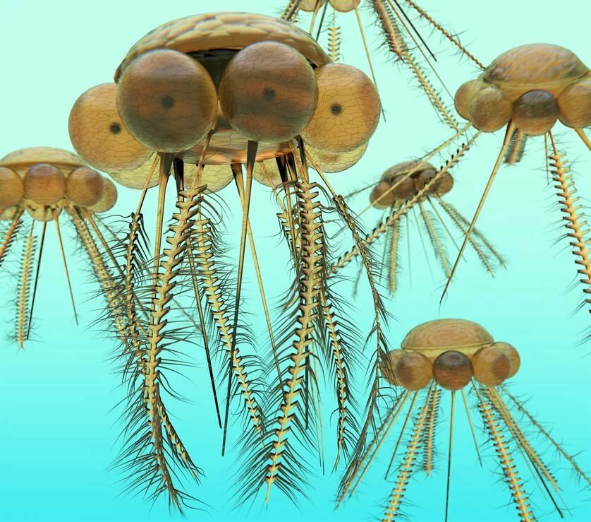 Силур, часть 2: Червивые медузы и оживший рыбий скелет