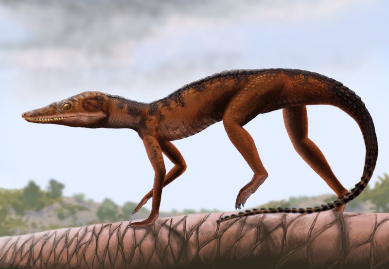 Юрский период: Как динозавры стали гигантами