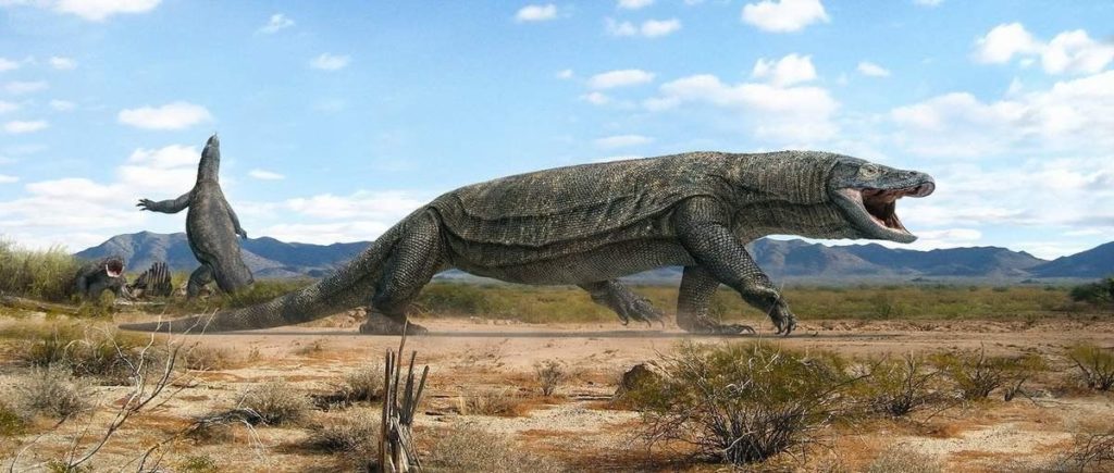 Австралия доисторическая: Ящеры - современники людей, часть 2