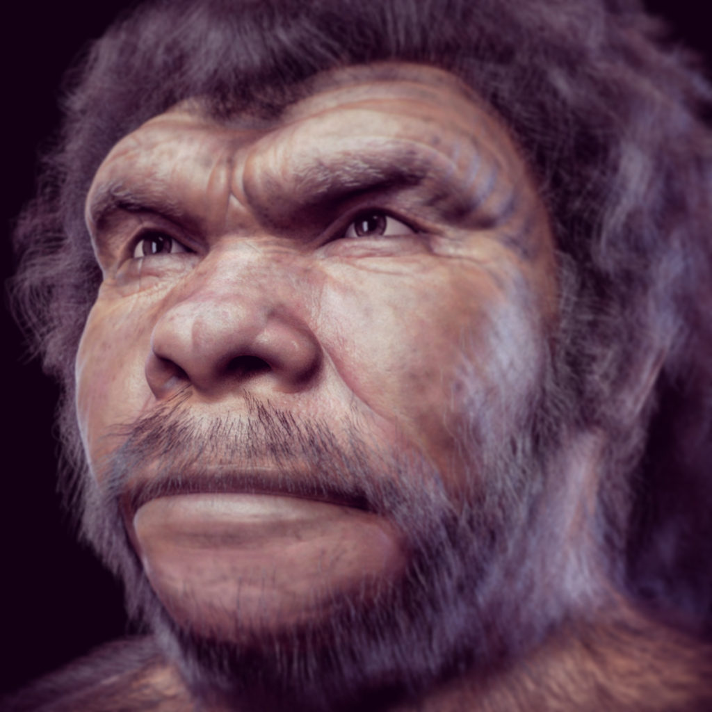 Антропогенез 300-100 тысяч лет назад: Древесные люди Африки