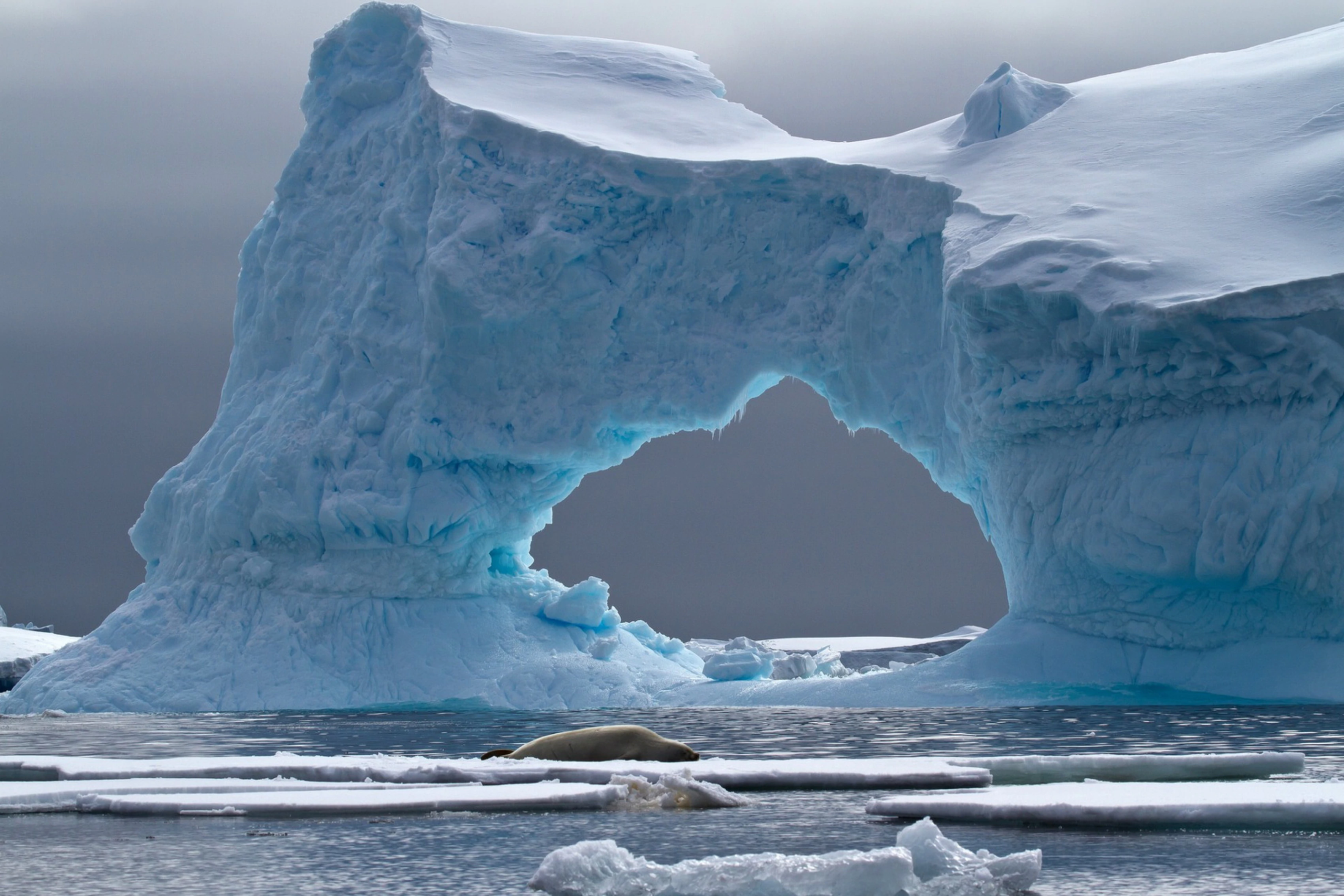 Антарктида: Базы нацистов и пришельцев — правда или вымысел?