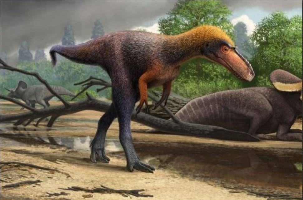 Если бы динозавры не вымерли: Гондванский мир