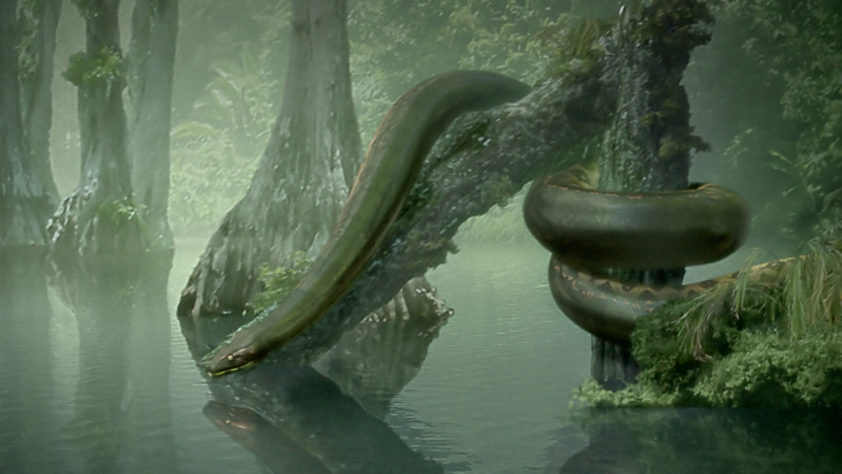 Титанобоа: Неожиданные особенности самой большой змеи в истории планеты