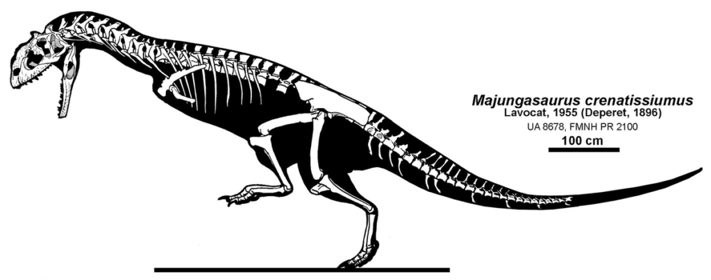 Майюнгазавр - странный динозавр-каннибал
