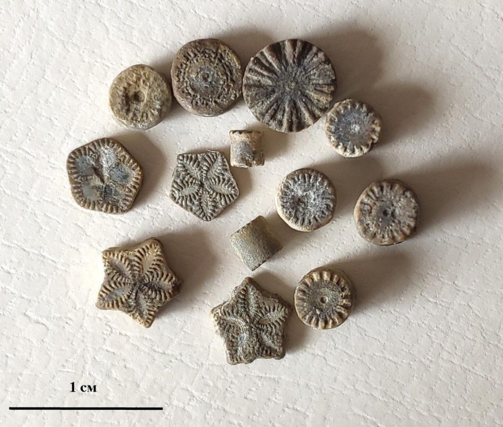 Морские лилии и артефакты запретной археологии