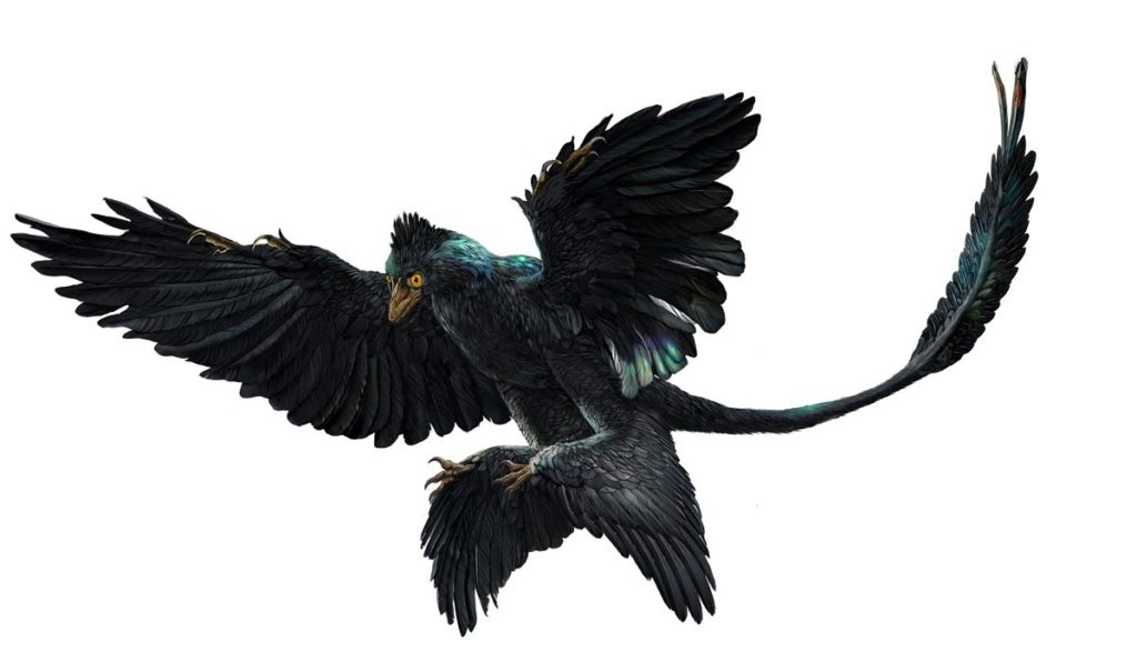 Не птерозавры и не птицы: Третья сила в небе мезозоя