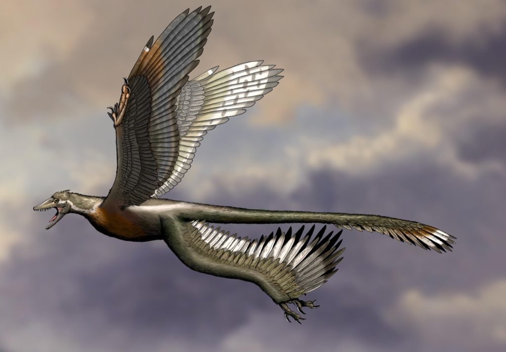 Не птерозавры и не птицы: Третья сила в небе мезозоя