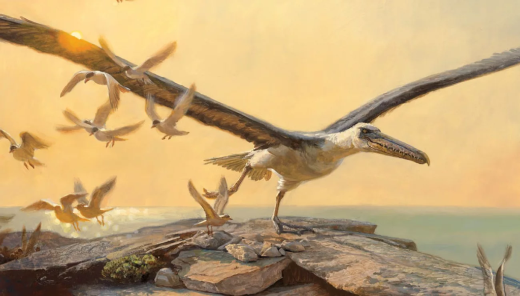 Почему в прошлом гигантские птицы, всё-таки, летали