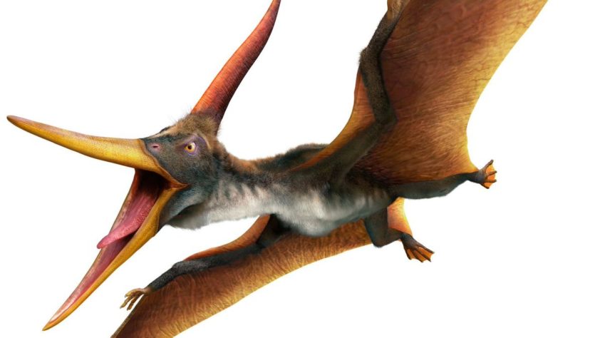 Летающие гиганты: Как в небе мезозоя появились птерозавры
