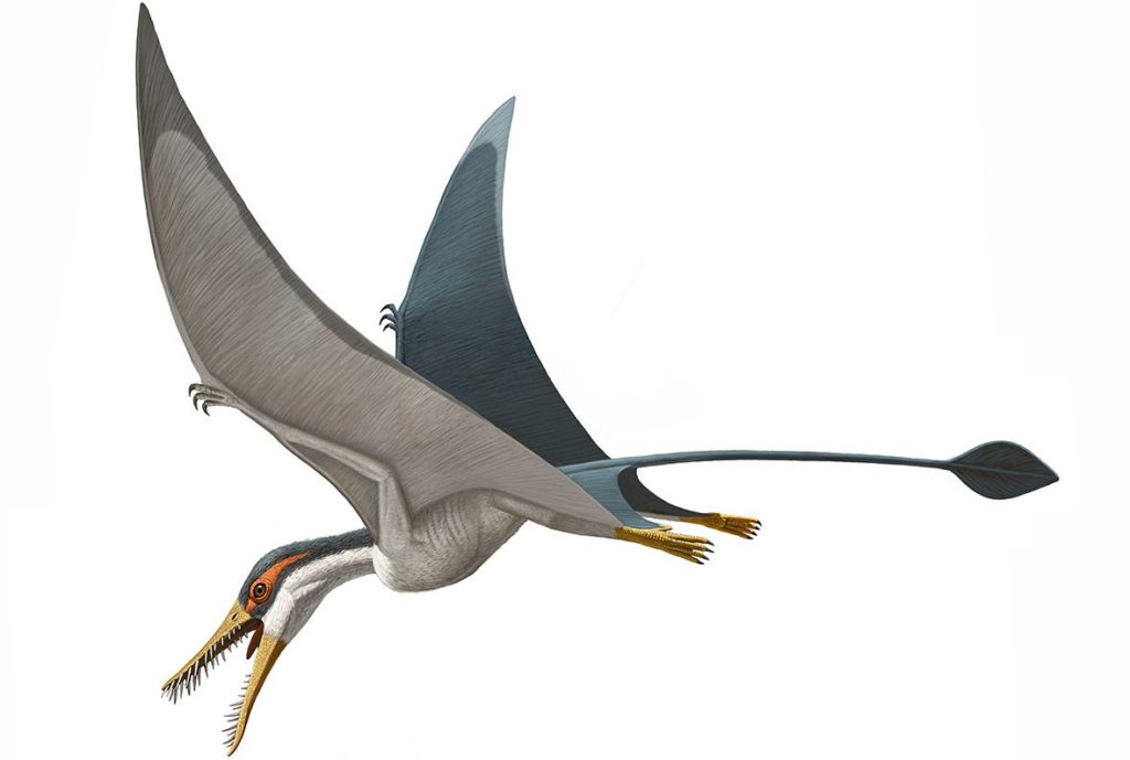 Летающие гиганты: Как в небе мезозоя появились птерозавры