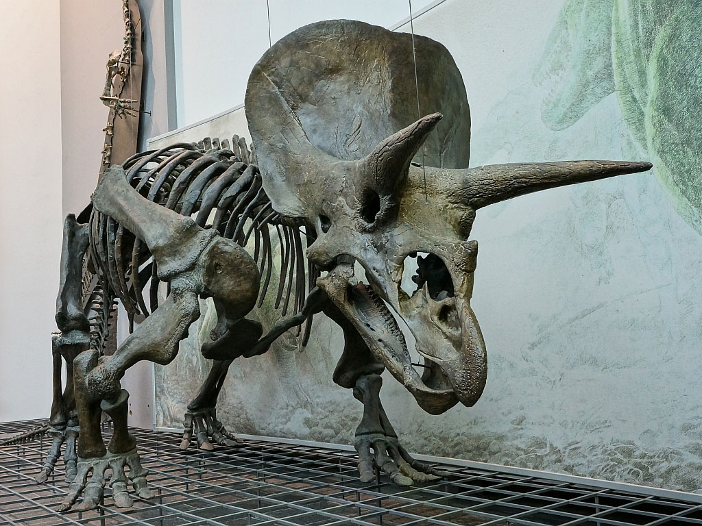 Палеонтология: Загадки мира динозавров