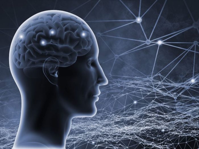 Главная тайна мозга: Как появилось сознание