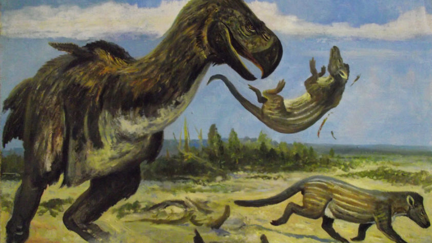 Кайнозой: Жизнь после 66 миллионов лет назад
