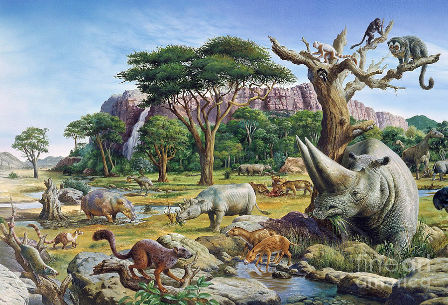 Кайнозой: Жизнь после 66 миллионов лет назад